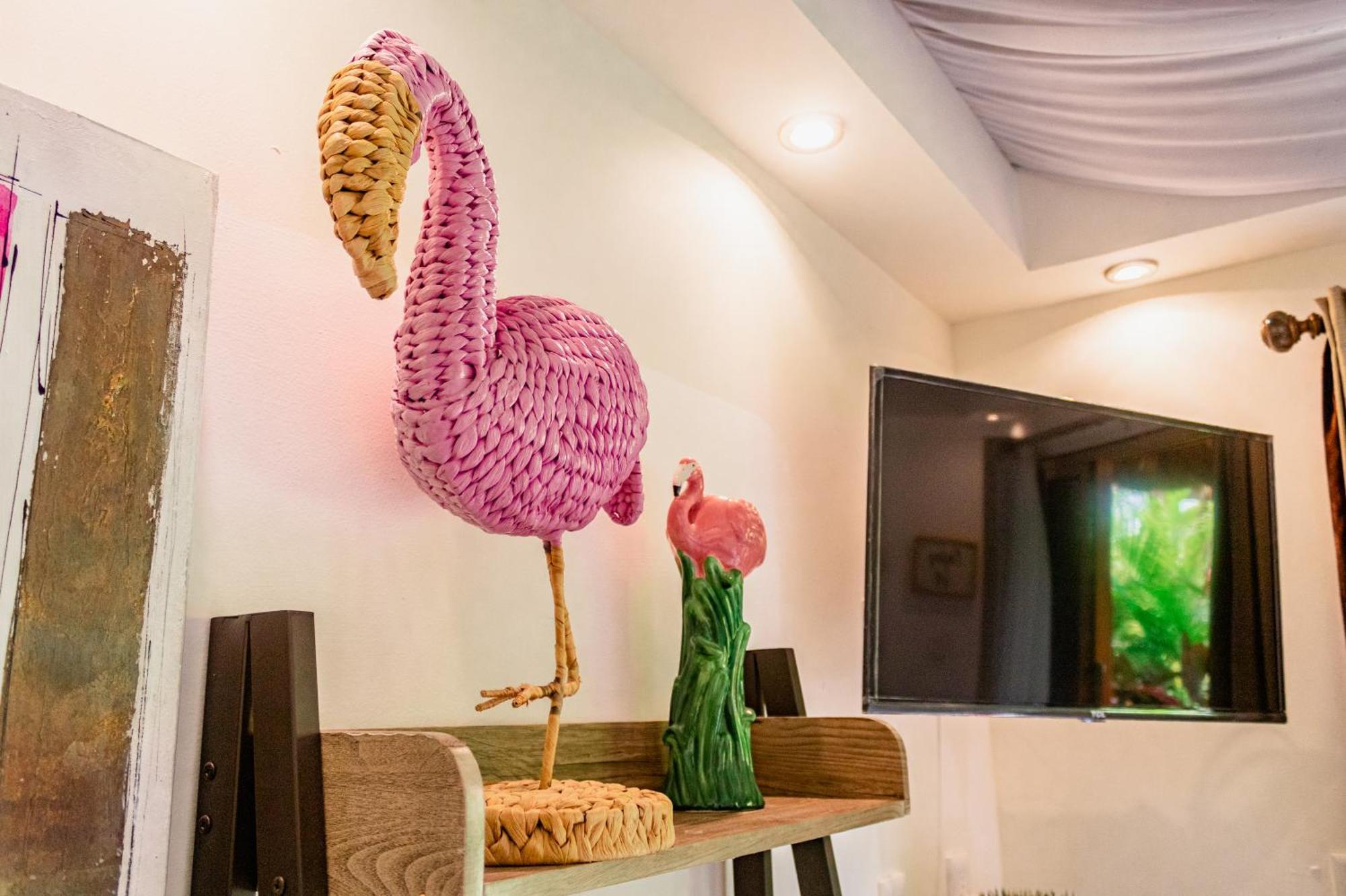 Hotel Blue Bird Bacalar Pokój zdjęcie
