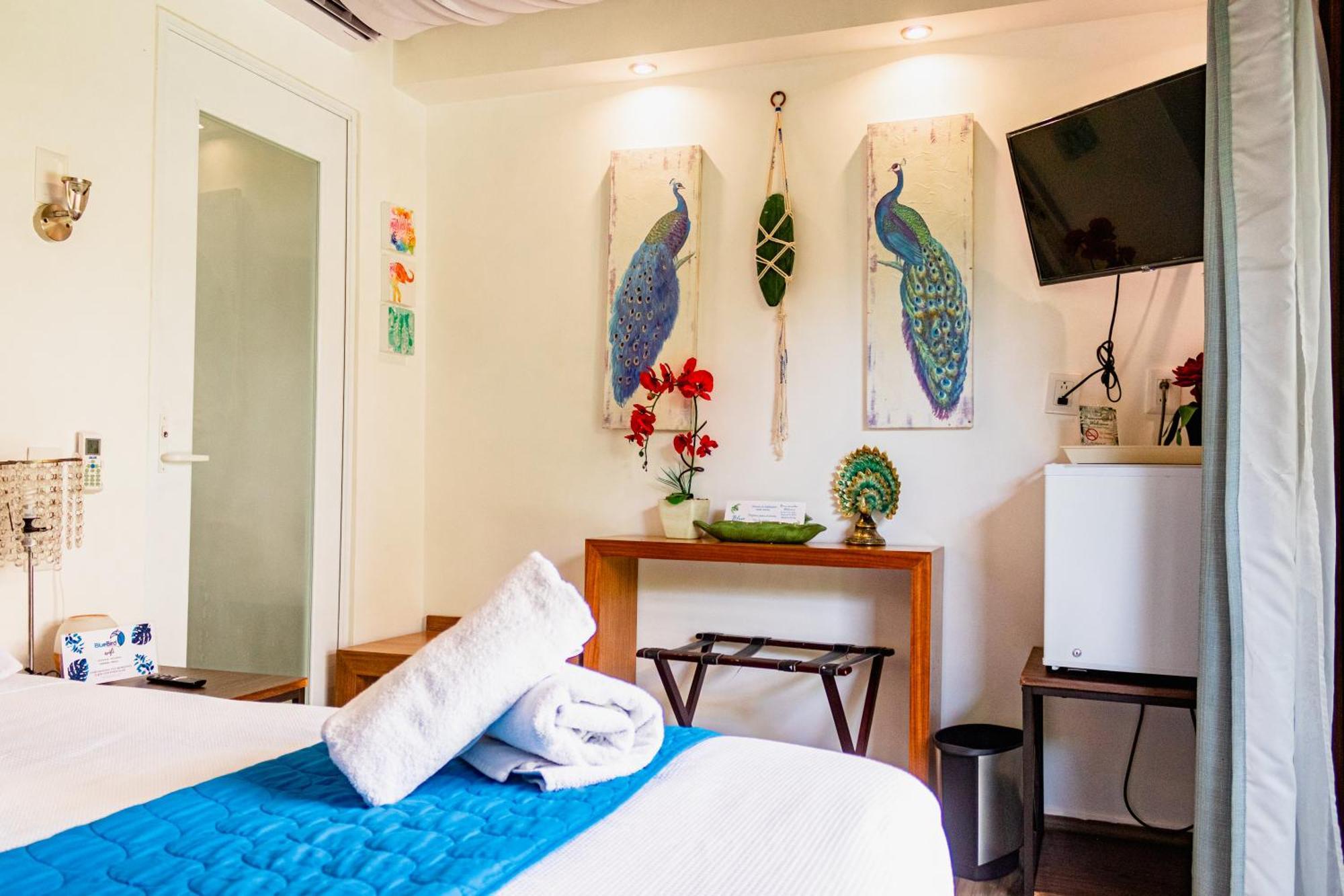 Hotel Blue Bird Bacalar Pokój zdjęcie