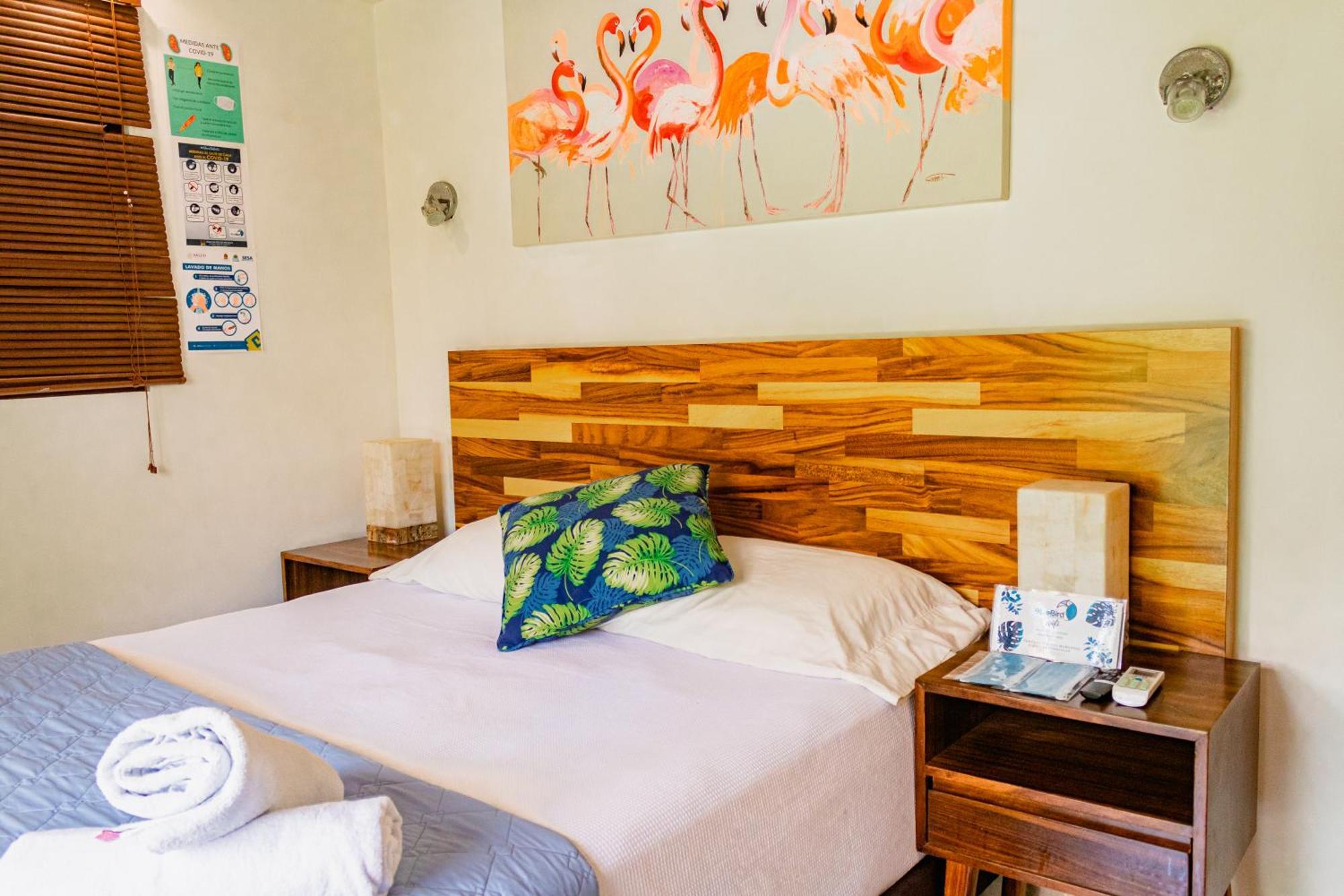 Hotel Blue Bird Bacalar Pokój zdjęcie